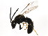  ( - BIOUG01082-A05)  @14 [ ] CreativeCommons - Attribution (2011) CBG Photography Group Centre for Biodiversity Genomics