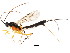  ( - BIOUG01082-E02)  @13 [ ] CreativeCommons - Attribution (2011) CBG Photography Group Centre for Biodiversity Genomics
