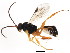  ( - BIOUG01082-F06)  @12 [ ] CreativeCommons - Attribution (2011) CBG Photography Group Centre for Biodiversity Genomics