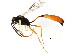  ( - BIOUG01093-A04)  @12 [ ] CreativeCommons - Attribution (2011) CBG Photography Group Centre for Biodiversity Genomics