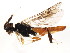  ( - BIOUG01093-B01)  @13 [ ] CreativeCommons - Attribution (2011) CBG Photography Group Centre for Biodiversity Genomics