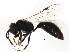  ( - BIOUG01093-H01)  @12 [ ] CreativeCommons - Attribution (2011) CBG Photography Group Centre for Biodiversity Genomics