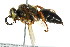  ( - BIOUG01081-A04)  @14 [ ] CreativeCommons - Attribution (2011) CBG Photography Group Centre for Biodiversity Genomics