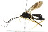 ( - BIOUG01081-A07)  @12 [ ] CreativeCommons - Attribution (2011) CBG Photography Group Centre for Biodiversity Genomics