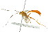  ( - BIOUG01081-B08)  @13 [ ] CreativeCommons - Attribution (2011) CBG Photography Group Centre for Biodiversity Genomics