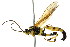  ( - BIOUG01081-D12)  @14 [ ] CreativeCommons - Attribution (2011) CBG Photography Group Centre for Biodiversity Genomics