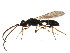  ( - BIOUG01088-E02)  @13 [ ] CreativeCommons - Attribution (2011) CBG Photography Group Centre for Biodiversity Genomics
