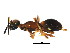  ( - BIOUG01088-H01)  @14 [ ] CreativeCommons - Attribution (2011) CBG Photography Group Centre for Biodiversity Genomics