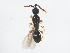 ( - BIOUG01115-D08)  @12 [ ] CreativeCommons - Attribution (2011) CBG Photography Group Centre for Biodiversity Genomics