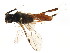  ( - BIOUG01149-B08)  @12 [ ] CreativeCommons - Attribution (2011) CBG Photography Group Centre for Biodiversity Genomics