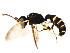  ( - BIOUG01149-G07)  @12 [ ] CreativeCommons - Attribution (2011) CBG Photography Group Centre for Biodiversity Genomics