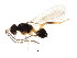  ( - BIOUG01252-B04)  @13 [ ] CreativeCommons - Attribution (2011) CBG Photography Group Centre for Biodiversity Genomics