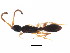  ( - BIOUG01258-A09)  @13 [ ] CreativeCommons - Attribution (2011) CBG Photography Group Centre for Biodiversity Genomics