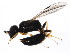  ( - BIOUG01258-D06)  @13 [ ] CreativeCommons - Attribution (2011) CBG Photography Group Centre for Biodiversity Genomics