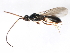  ( - BIOUG01280-B01)  @12 [ ] CreativeCommons - Attribution (2011) CBG Photography Group Centre for Biodiversity Genomics