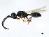  ( - BIOUG01280-B12)  @12 [ ] CreativeCommons - Attribution (2011) CBG Photography Group Centre for Biodiversity Genomics