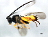  ( - BIOUG01280-C01)  @12 [ ] CreativeCommons - Attribution (2011) CBG Photography Group Centre for Biodiversity Genomics