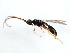  ( - BIOUG01280-C11)  @12 [ ] CreativeCommons - Attribution (2011) CBG Photography Group Centre for Biodiversity Genomics