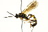  ( - BIOUG01282-D10)  @13 [ ] CreativeCommons - Attribution (2012) CBG Photography Group Centre for Biodiversity Genomics