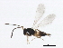  ( - BIOUG01330-D01)  @14 [ ] CreativeCommons - Attribution (2012) CBG Photography Group Centre for Biodiversity Genomics