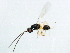  ( - BIOUG01280-E11)  @12 [ ] CreativeCommons - Attribution (2011) CBG Photography Group Centre for Biodiversity Genomics