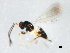  ( - BIOUG01280-H11)  @12 [ ] CreativeCommons - Attribution (2011) CBG Photography Group Centre for Biodiversity Genomics