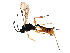  ( - BIOUG01281-H08)  @12 [ ] CreativeCommons - Attribution (2011) CBG Photography Group Centre for Biodiversity Genomics