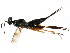  ( - BIOUG01283-B02)  @13 [ ] CreativeCommons - Attribution (2011) CBG Photography Group Centre for Biodiversity Genomics