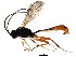  ( - BIOUG01283-H04)  @13 [ ] CreativeCommons - Attribution (2011) CBG Photography Group Centre for Biodiversity Genomics