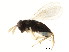  ( - BIOUG01284-C04)  @12 [ ] CreativeCommons - Attribution (2011) CBG Photography Group Centre for Biodiversity Genomics