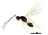  ( - BIOUG01284-H03)  @12 [ ] CreativeCommons - Attribution (2011) CBG Photography Group Centre for Biodiversity Genomics