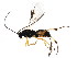  ( - BIOUG01285-E06)  @12 [ ] CreativeCommons - Attribution (2011) CBG Photography Group Centre for Biodiversity Genomics