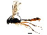  ( - BIOUG01291-F07)  @14 [ ] CreativeCommons - Attribution (2011) CBG Photography Group Centre for Biodiversity Genomics