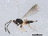  ( - BIOUG01330-A08)  @12 [ ] CreativeCommons - Attribution (2012) CBG Photography Group Centre for Biodiversity Genomics