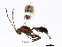  ( - BIOUG01330-D06)  @13 [ ] CreativeCommons - Attribution (2012) CBG Photography Group Centre for Biodiversity Genomics