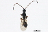  ( - BIOUG01330-D10)  @14 [ ] CreativeCommons - Attribution (2012) CBG Photography Group Centre for Biodiversity Genomics