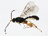  ( - BIOUG01330-E05)  @13 [ ] CreativeCommons - Attribution (2012) CBG Photography Group Centre for Biodiversity Genomics