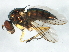  ( - BIOUG00892-B07)  @14 [ ] CreativeCommons - Attribution (2012) CBG Photography Group Centre for Biodiversity Genomics