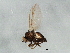  ( - BIOUG01587-G09)  @12 [ ] CreativeCommons - Attribution (2012) CBG Photography Group Centre for Biodiversity Genomics