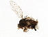  ( - BIOUG01591-H04)  @12 [ ] CreativeCommons - Attribution (2011) CBG Photography Group Centre for Biodiversity Genomics