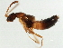  ( - BIOUG01593-B07)  @12 [ ] CreativeCommons - Attribution (2012) CBG Photography Group Centre for Biodiversity Genomics