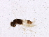  ( - BIOUG01600-D02)  @12 [ ] CreativeCommons - Attribution (2012) CBG Photography Group Centre for Biodiversity Genomics