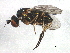  ( - BIOUG01583-E05)  @14 [ ] CreativeCommons - Attribution (2012) CBG Photography Group Centre for Biodiversity Genomics