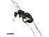  ( - BIOUG01583-F02)  @13 [ ] CreativeCommons - Attribution (2012) CBG Photography Group Centre for Biodiversity Genomics