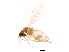  ( - BIOUG01599-F03)  @12 [ ] CreativeCommons - Attribution (2012) CBG Photography Group Centre for Biodiversity Genomics