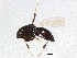  ( - BIOUG01692-F01)  @12 [ ] CreativeCommons - Attribution (2012) CBG Photography Group Centre for Biodiversity Genomics