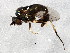  ( - BIOUG01686-D08)  @12 [ ] CreativeCommons - Attribution (2012) CBG Photography Group Centre for Biodiversity Genomics