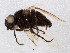  ( - BIOUG01882-G12)  @13 [ ] CreativeCommons - Attribution (2012) CBG Photography Group Centre for Biodiversity Genomics