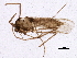  ( - BIOUG01679-G04)  @12 [ ] CreativeCommons - Attribution (2012) CBG Photography Group Centre for Biodiversity Genomics