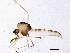  ( - BIOUG01682-C02)  @14 [ ] CreativeCommons - Attribution (2012) CBG Photography Group Centre for Biodiversity Genomics